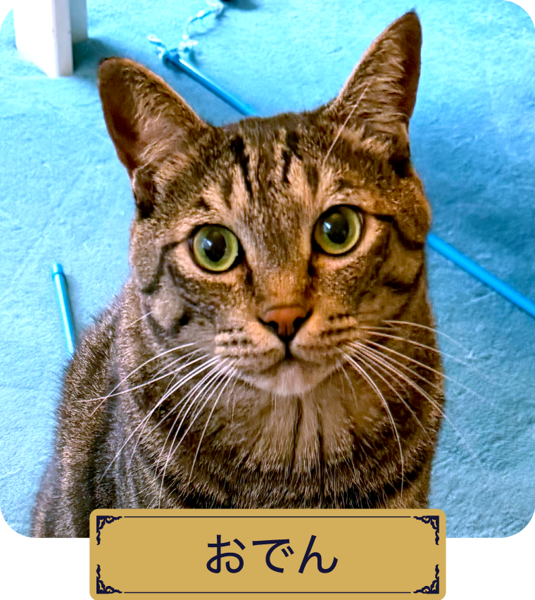 おでん